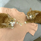 Women's Fitted T-Shirt: Cute Little Dog Chest Embroidery. Custom Pet Photo Pure Cotton Tee – The Perfect Holiday Gift!