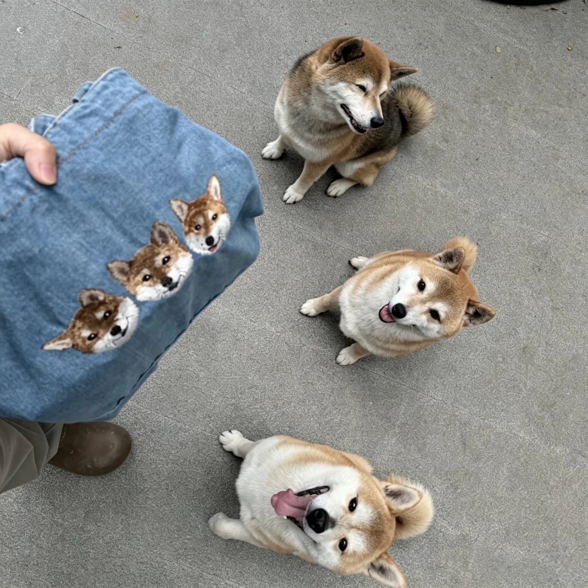 Custom Pet Portrait Denim Tote: Washed denim shoulder bag embroidered from your photo, perfect as an everyday pet memorial handbag.