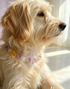 Natural Amethyst, Citrine & Rose Quartz Healing Energy Pet Collar, Macaron Pink & Purple Multi-Gemstone Beaded Necklace, Adjustable Soft Pink Leather Strap, Stabilizes Emotions & Purifies Negative Energy