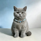 Natural Aquamarine Healing Crystal Pet Owner Beaded Necklace Set – Featuring a Gray Cloudstone Emotional Soothing Chain with an Oval Aquamarine Pendant. Adjustable and Customizable Design to Help Alleviate Separation Anxiety.