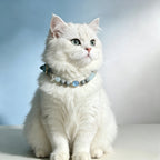 Natural Aquamarine Healing Crystal Pet Owner Beaded Necklace Set – Featuring a Gray Cloudstone Emotional Soothing Chain with an Oval Aquamarine Pendant. Adjustable and Customizable Design to Help Alleviate Separation Anxiety.