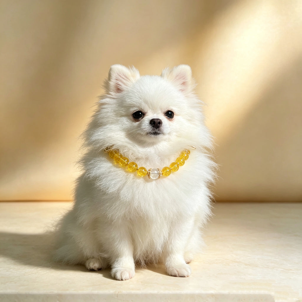Citrine Wealth & Healing Pet Collar with Matching Owner Bracelet, Calming White Crystal Necklace, Positive Energy & Good Luck Beaded Necklace for Cats, Dogs & Small Pets