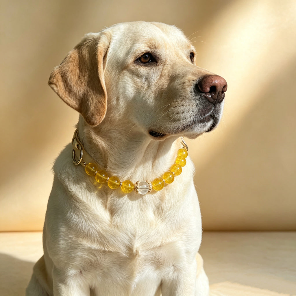 Citrine Wealth & Healing Pet Collar with Matching Owner Bracelet, Calming White Crystal Necklace, Positive Energy & Good Luck Beaded Necklace for Cats, Dogs & Small Pets