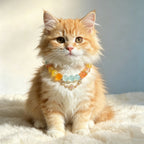 Soothing Healing Crystal Energy Pet Collar – Beaded Necklace with Citrine, Aquamarine & Red Agate, Fits All Pets & Customizable Size