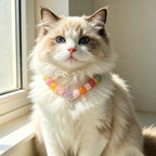 Rainbow Healing Crystal Pet Collar – Multicolor Natural Gemstone Beads with Wing & Star Charms, Adjustable Pink Leather Collar for Cats and Dogs, Helps Soothe Stress and Calm Emotions