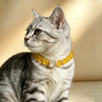 Citrine Wealth & Healing Pet Collar with Matching Owner Bracelet, Calming White Crystal Necklace, Positive Energy & Good Luck Beaded Necklace for Cats, Dogs & Small Pets