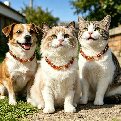 Red Orange Crystal Pet Collar with Matching Bracelet Natural Healing Crystal Dog Cat Owner Jewelry
