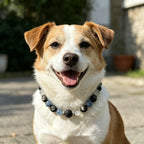 Natural Black Obsidian Crystal Pet Collar – Calming & Protective Healing Stones, Genuine Leather, Matching Owner Bracelet