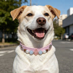 Healing Crystal Pet Collar | Adjustable Eco-Leather Dog & Cat Collar for Small/Medium Pets (4 Colors)