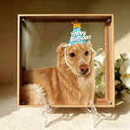 Custom 3D 6-Layer Pet Portrait Glass Frame Set, Realistic Fluffy Fur Dog & Cat Painting, Personalized Pet Memorial Gift, Metal Frame Animal Art Decor