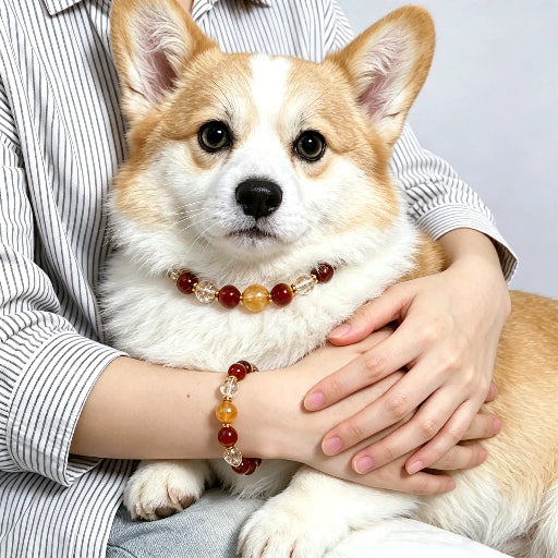 Red Orange Crystal Pet Collar with Matching Bracelet Natural Healing Crystal Dog Cat Owner Jewelry