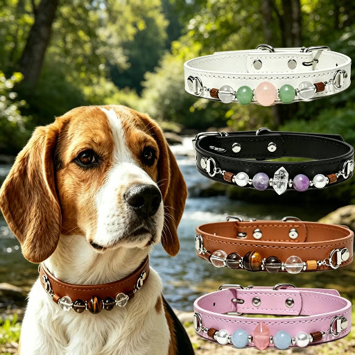 Healing Crystal Pet Collar | Adjustable Eco-Leather Dog & Cat Collar for Small/Medium Pets (4 Colors)